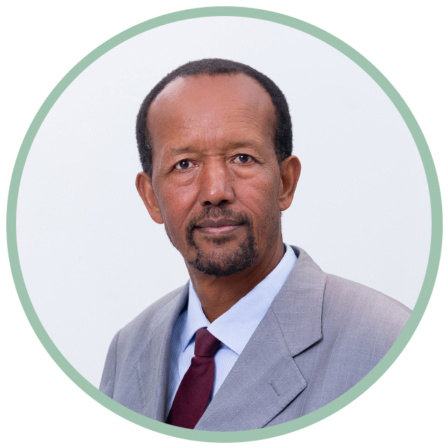Tadesse Mamo